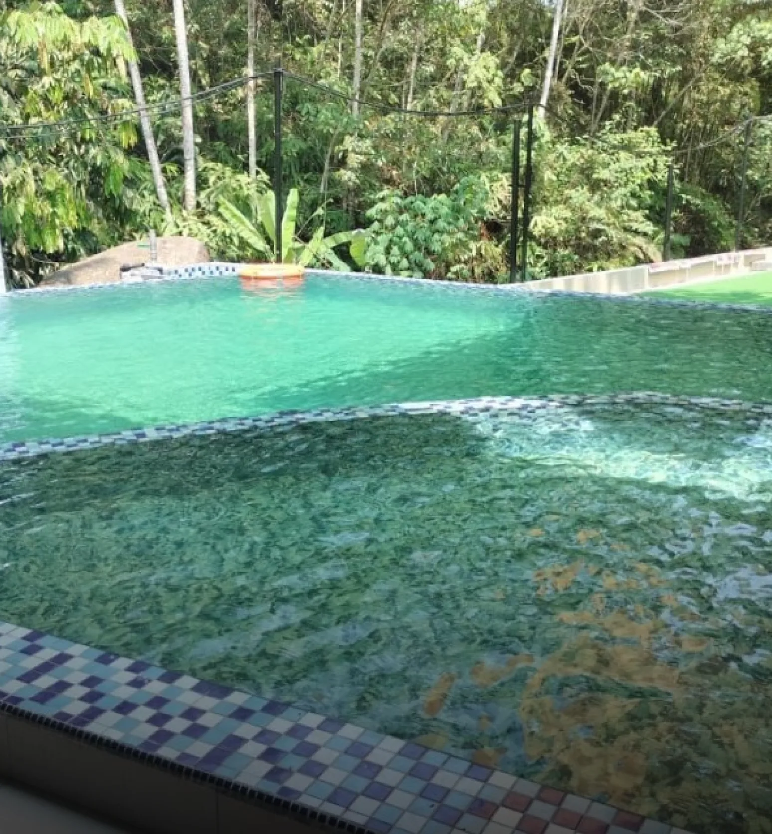 Hidden  Forest Lodge